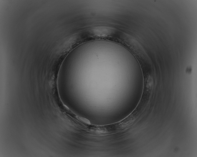 X0000093590559200710221525