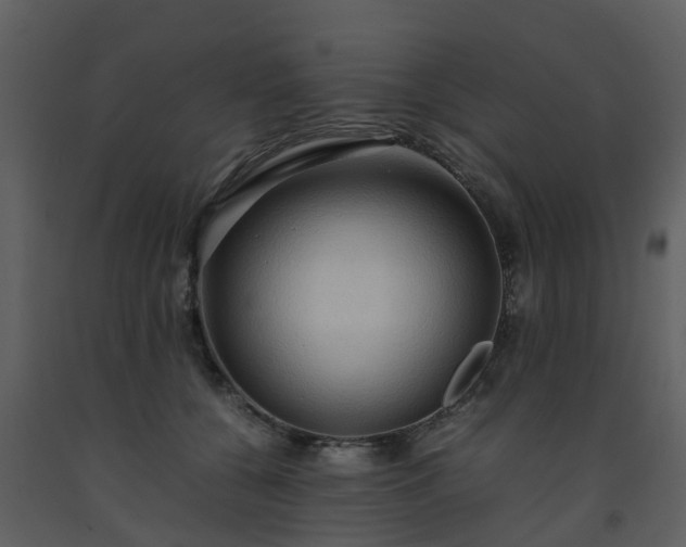 X0000093590560200710221525