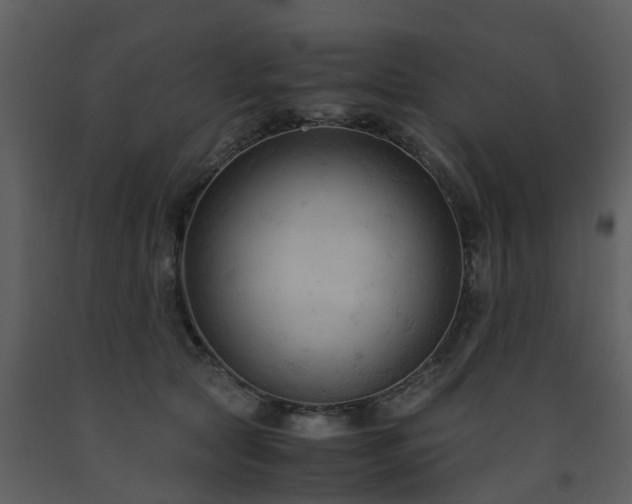 X0000093590561200710221525