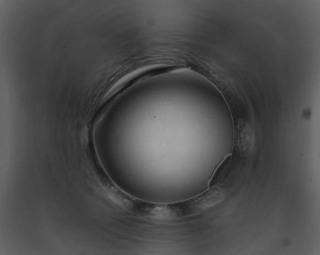 X0000093590562200710221525