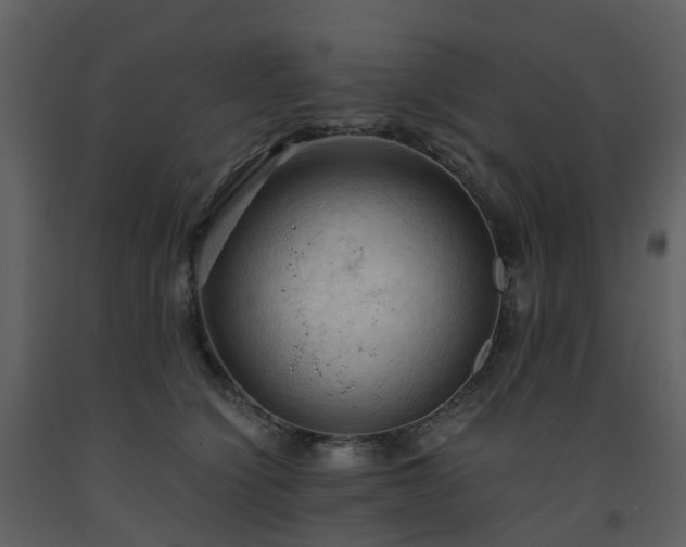 X0000093590564200710221525