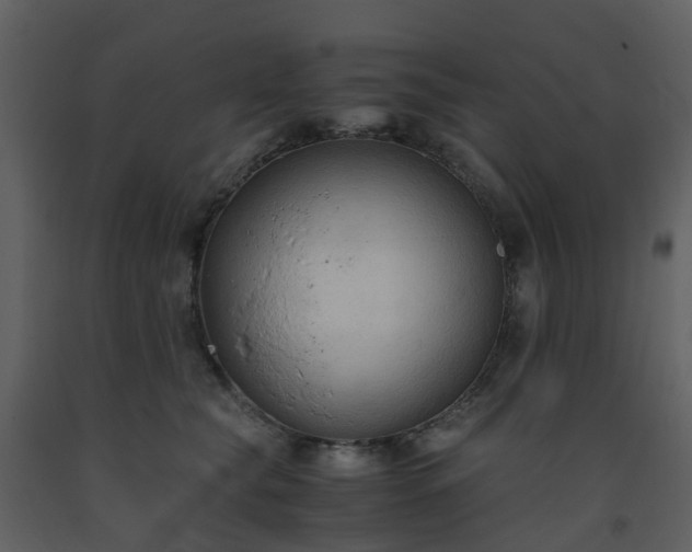 X0000093590565200710221525