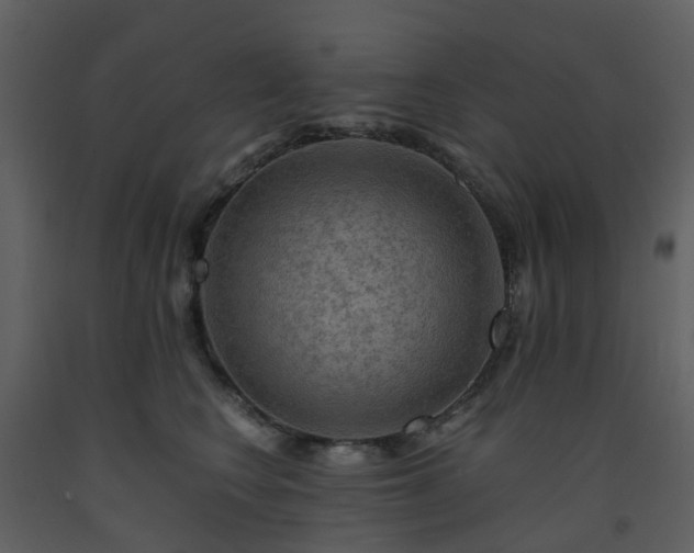 X0000093590566200710221525