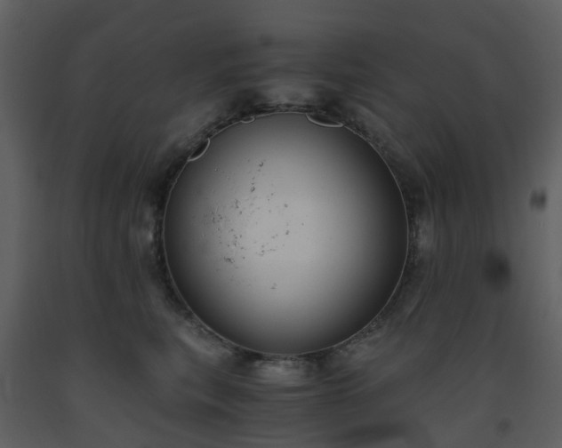 X0000093590567200710221525