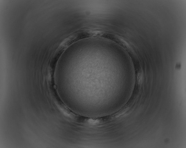 X0000093590570200710221525