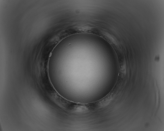 X0000093590572200710221526