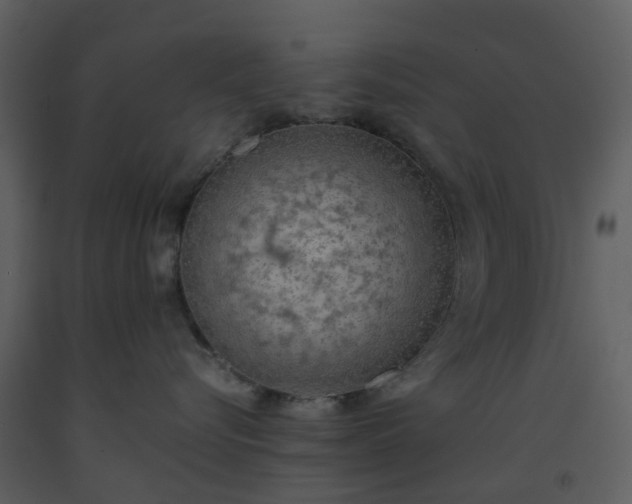 X0000093590576200710221526