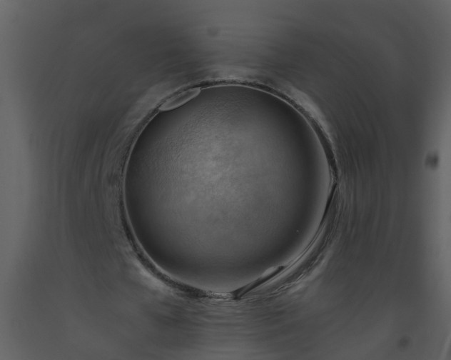 X0000093590577200710221525