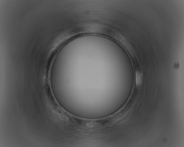 X0000093590579200710221525