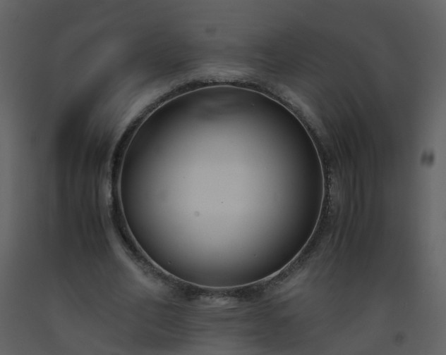 X0000093590582200710221525
