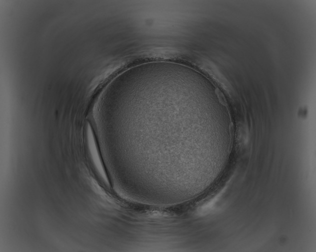 X0000093590585200710221525