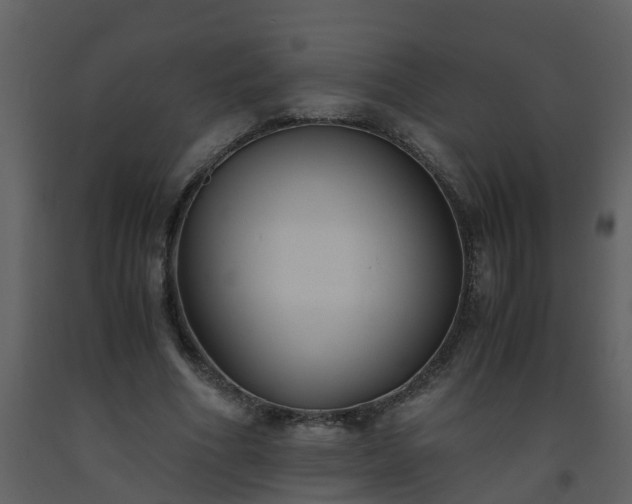 X0000093590586200710221525