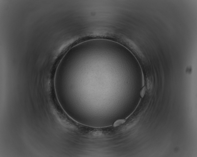 X0000093590588200710221525
