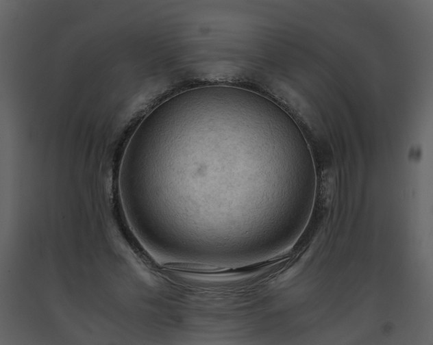 X0000093590589200710221525