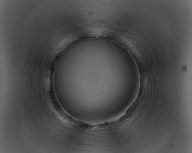 X0000093590590200710221525