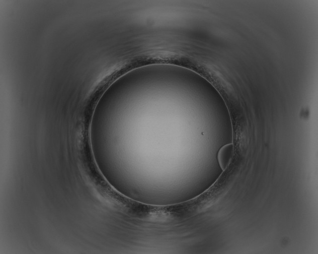 X0000093590591200710221525