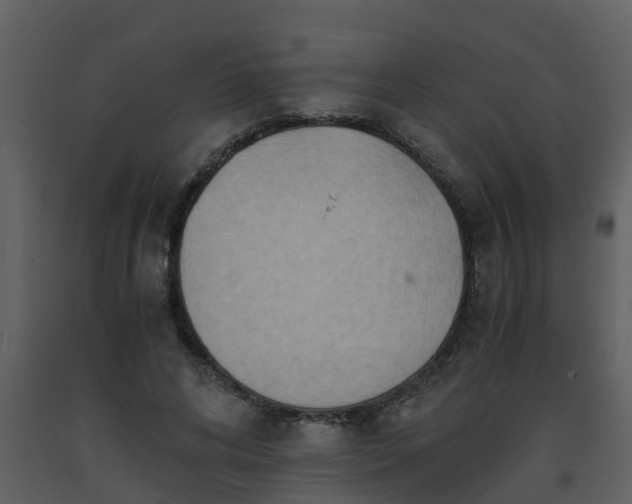 X0000093590592200710221525