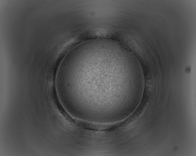 X0000093590593200710221525