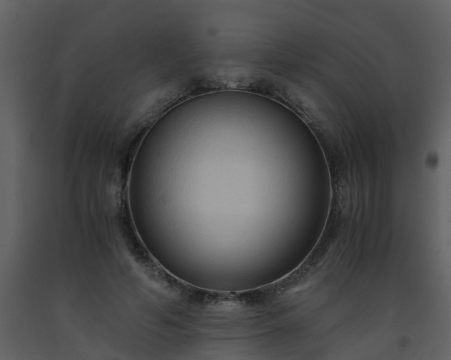 X0000093590594200710221525