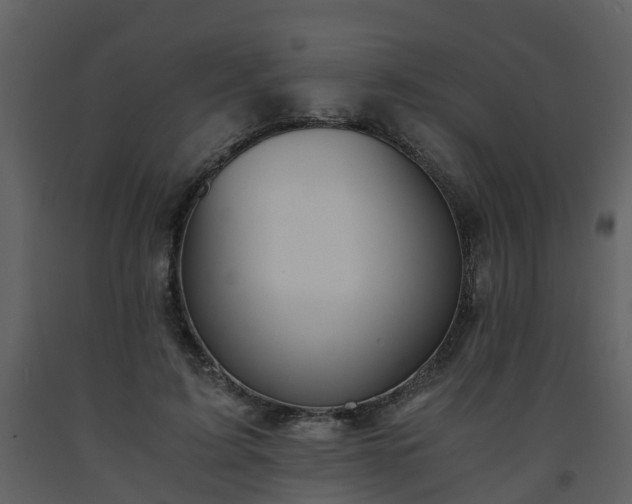 X0000093590595200710221525