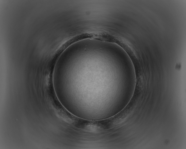 X0000093590596200710221525