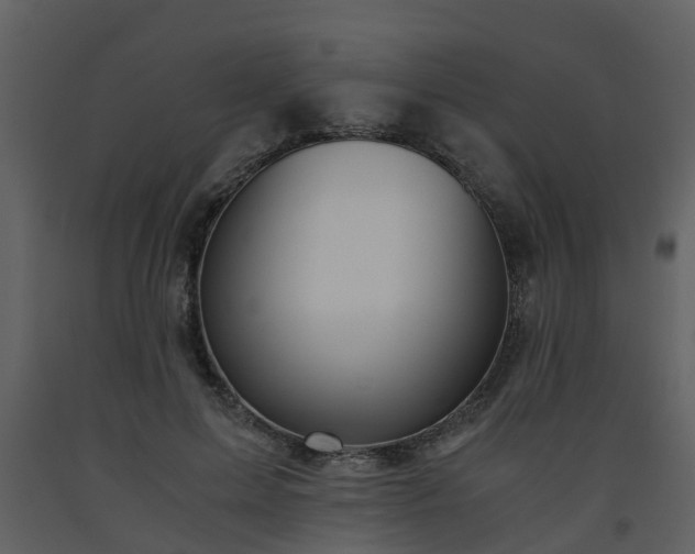 X0000093590599200710221525