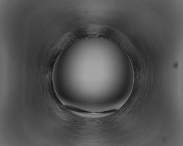 X0000093590601200710221525