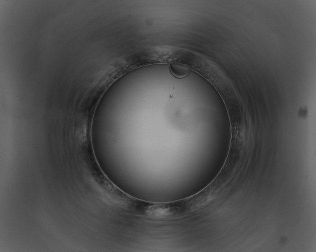 X0000093590602200710221525