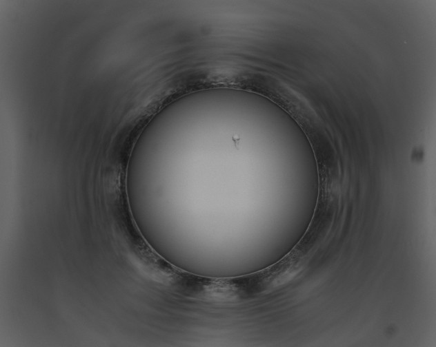 X0000093590603200710221525