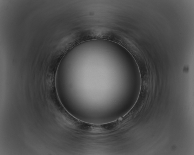X0000093590605200710221525