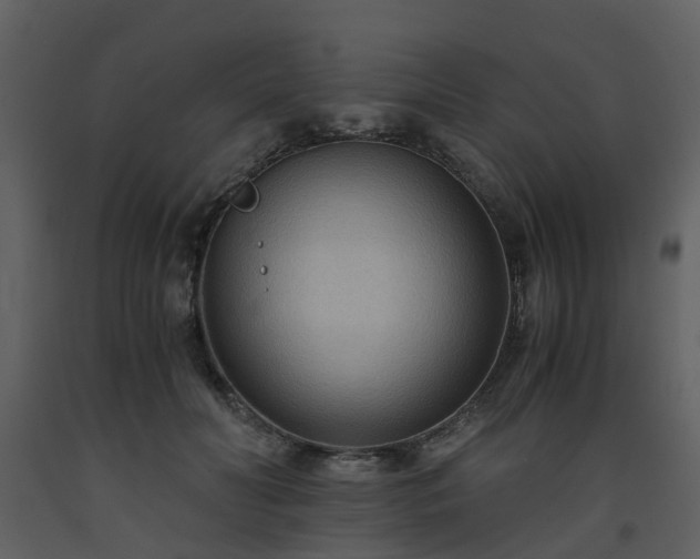 X0000093590606200710221525