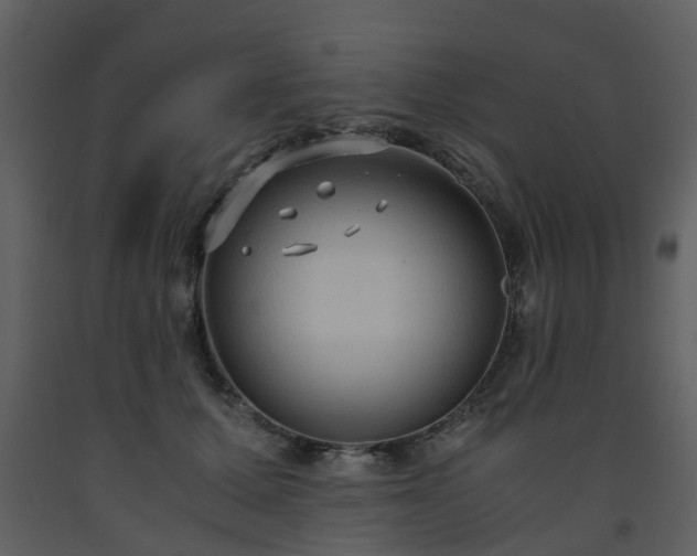 X0000093590607200710221525