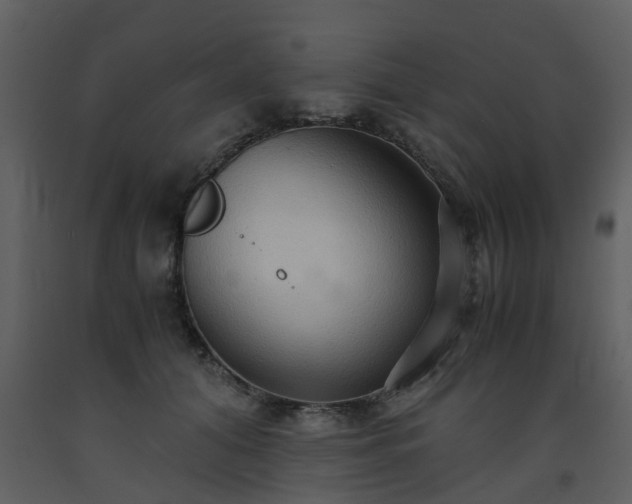 X0000093590608200710221525