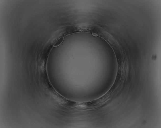 X0000093590610200710221524