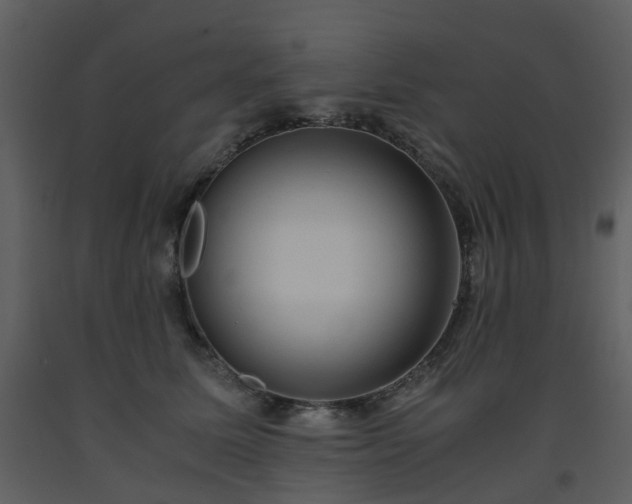 X0000093590611200710221524