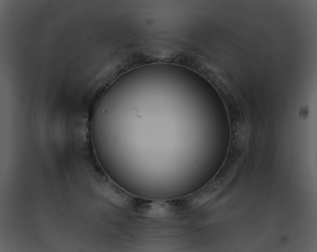 X0000093590612200710221524