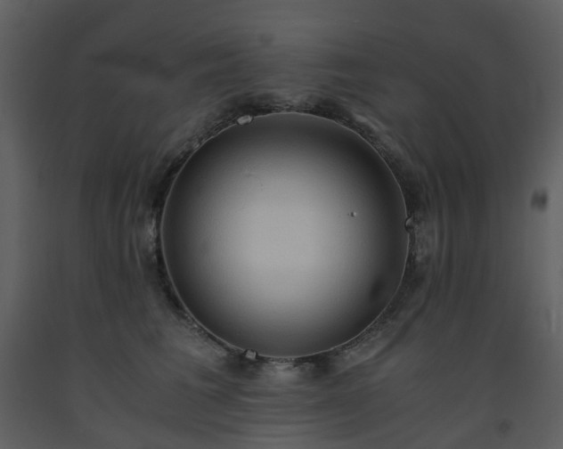 X0000093590613200710221524
