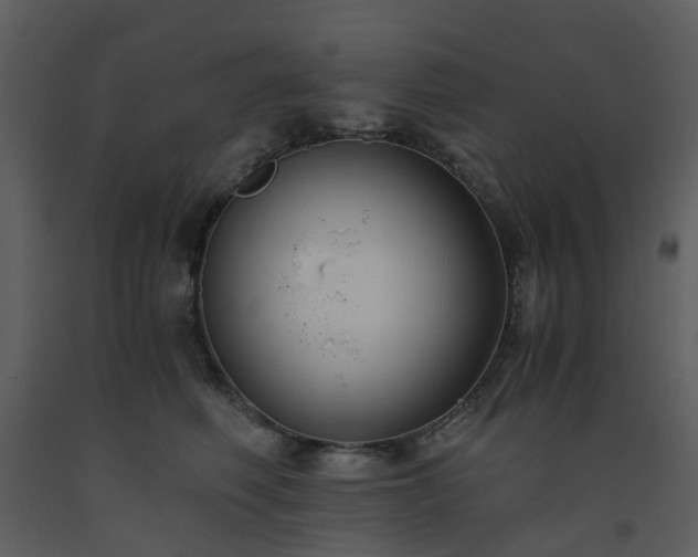 X0000093590614200710221524