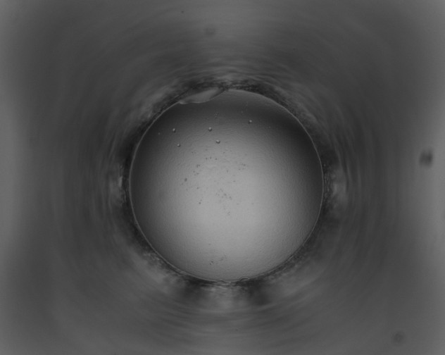 X0000093590615200710221524