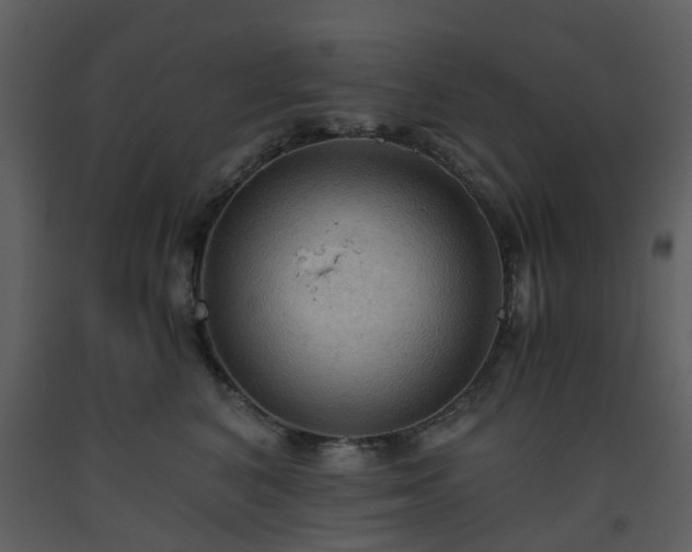 X0000093590616200710221524