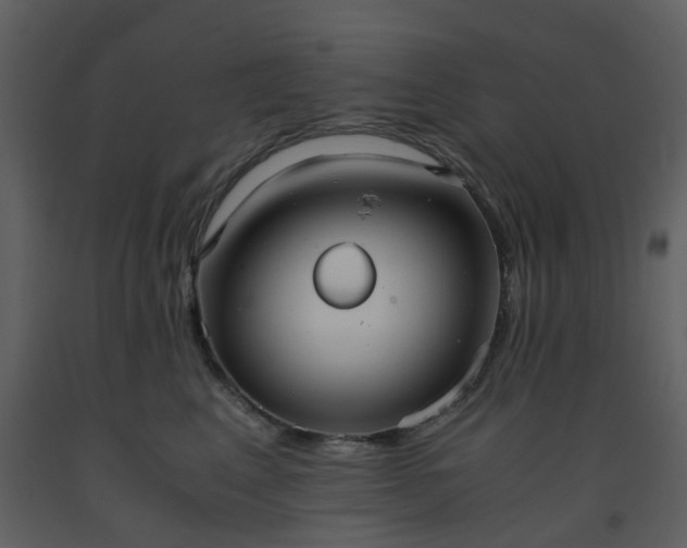 X0000093590617200710221524