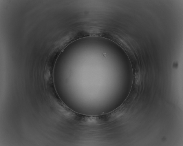 X0000093590618200710221524