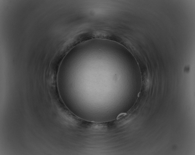 X0000093590619200710221524