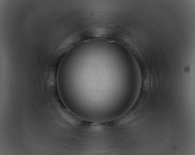 X0000093590620200710221524