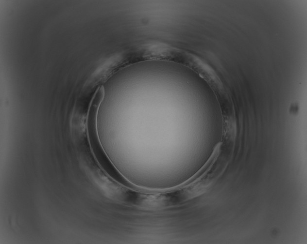 X0000093590621200710221524