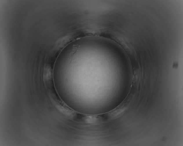 X0000093590623200710221524