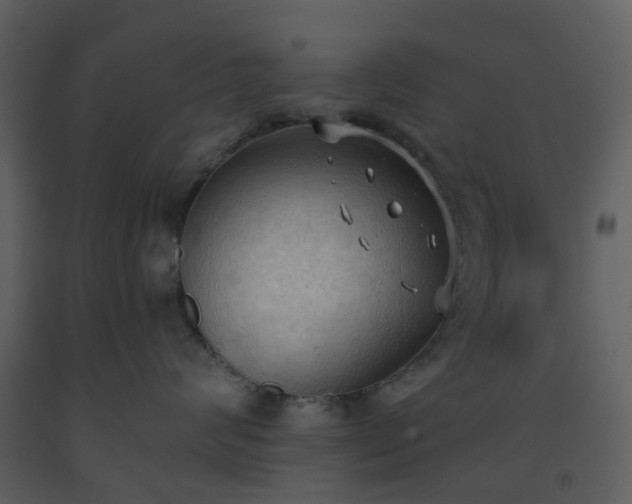 X0000093590624200710221524