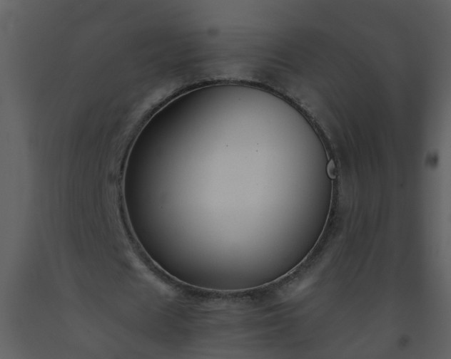 X0000093590625200710221524