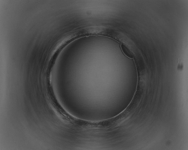 X0000093590626200710221524