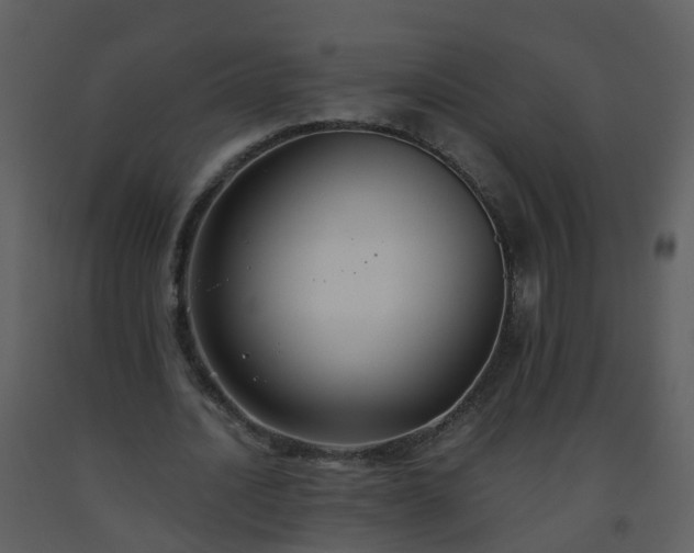 X0000093590628200710221524